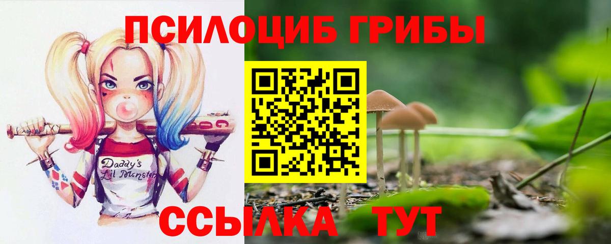 Псилоцибиновые грибы прущие грибы  Вход с VPN  Губкин 